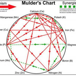Mulder's Chart.png