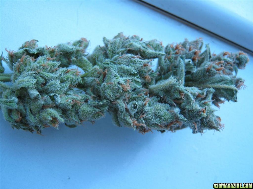 Super Lemon Haze from: