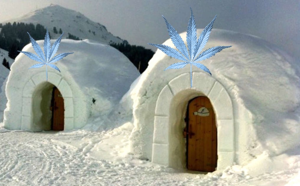 0_igloo.jpg