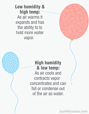 0_vapor_pressure_deficit_explained.gif