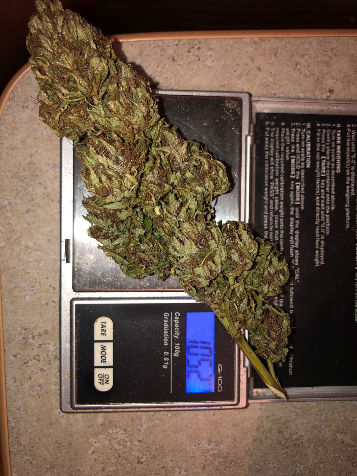 1 very nice bud.jpg