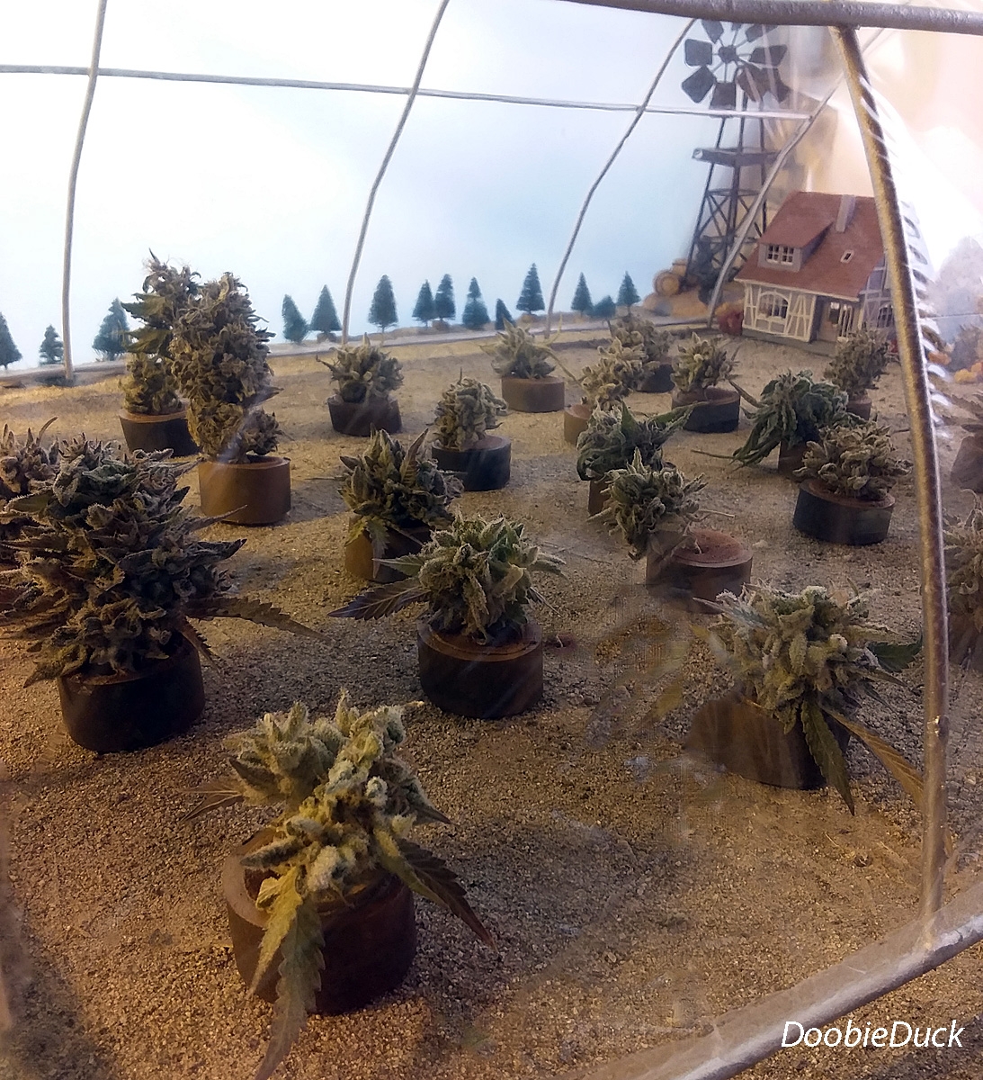 11-10-22-doobiediorama-003.jpg