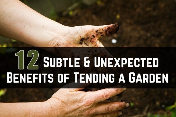 12-Subtle-Unexpected-Benefits-of-Tending-a-Garden.jpg