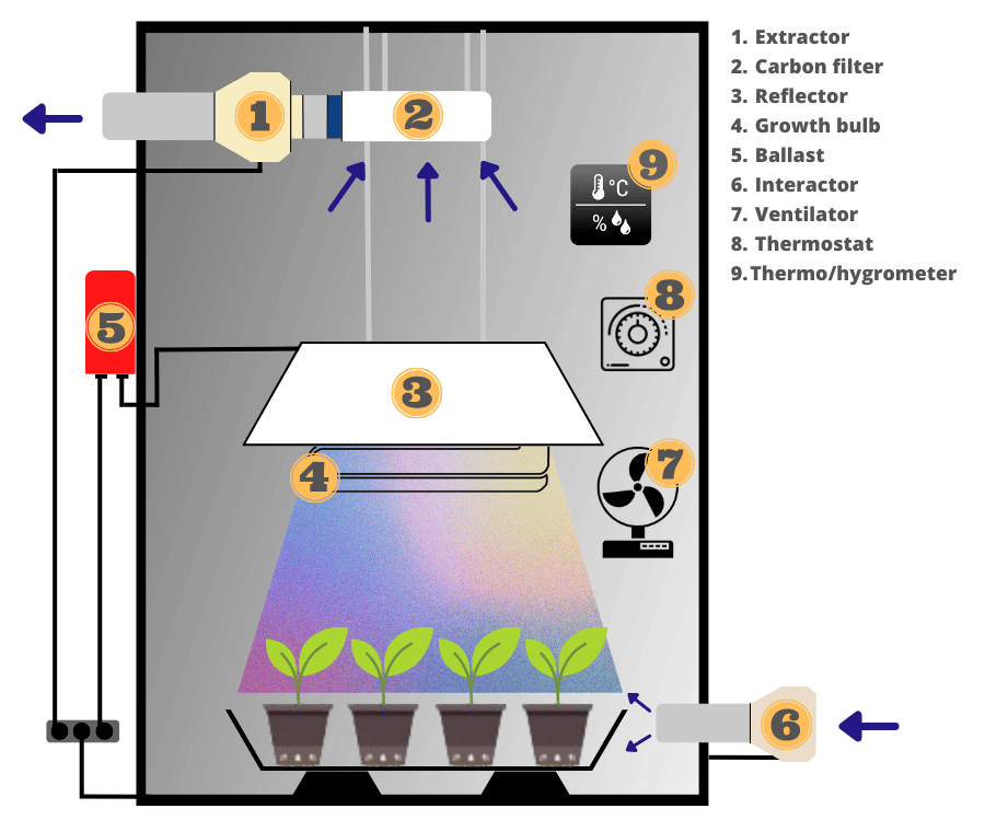 2-grow-tent-diagram-scheme-with-grow-lights-ventilation-plants-and-5-gallon-bucket-systems.png