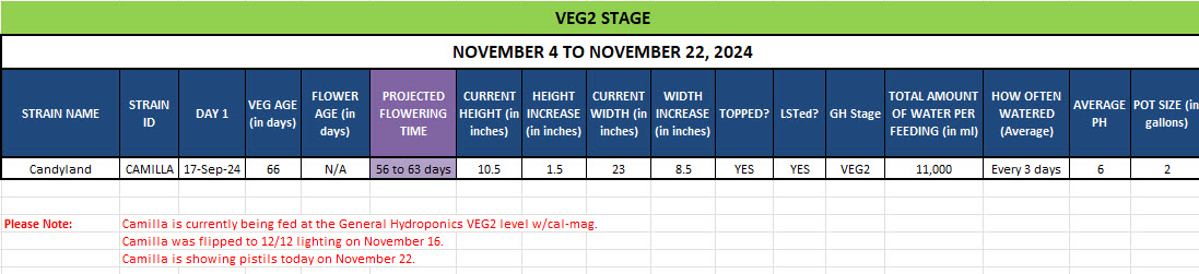 420 Update for Camilla - November 4 to 22, 2024.jpg