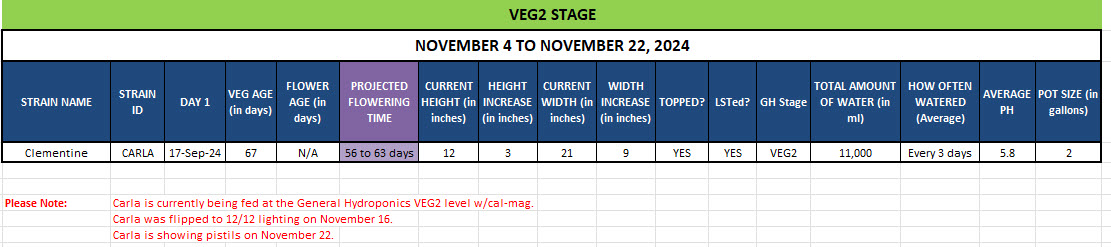 420 Update for Clementine - November 4 to 22, 2024.jpg