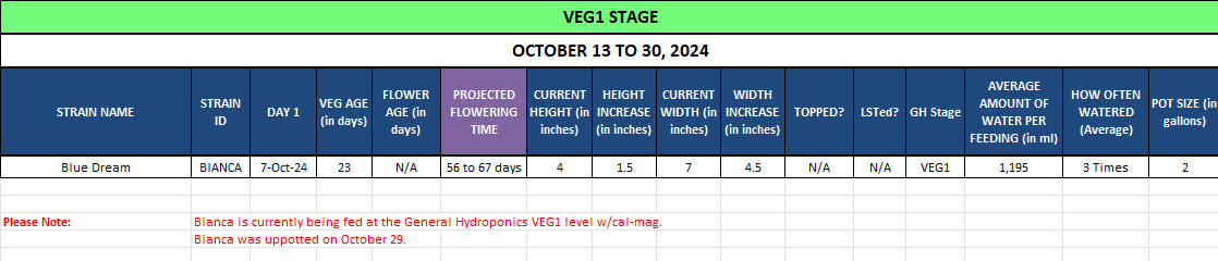 420 Update - October 13 to 30, 2024.jpg