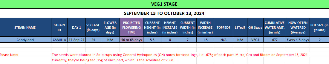 420 Update - September 13 to October 13, 2024.jpg