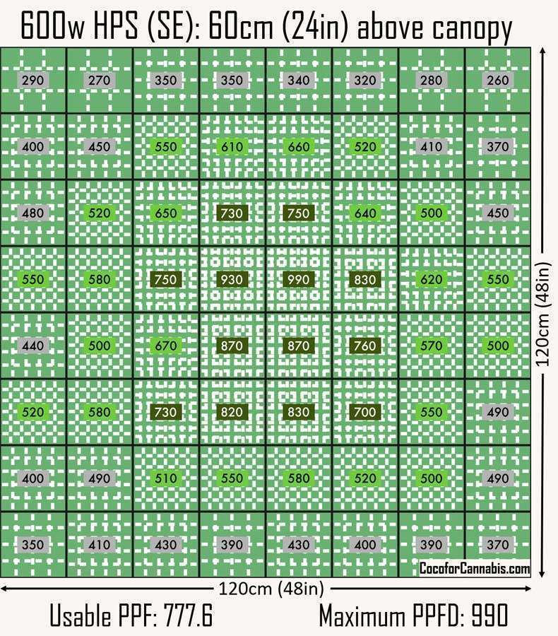 600w-HPS-60cm.jpg