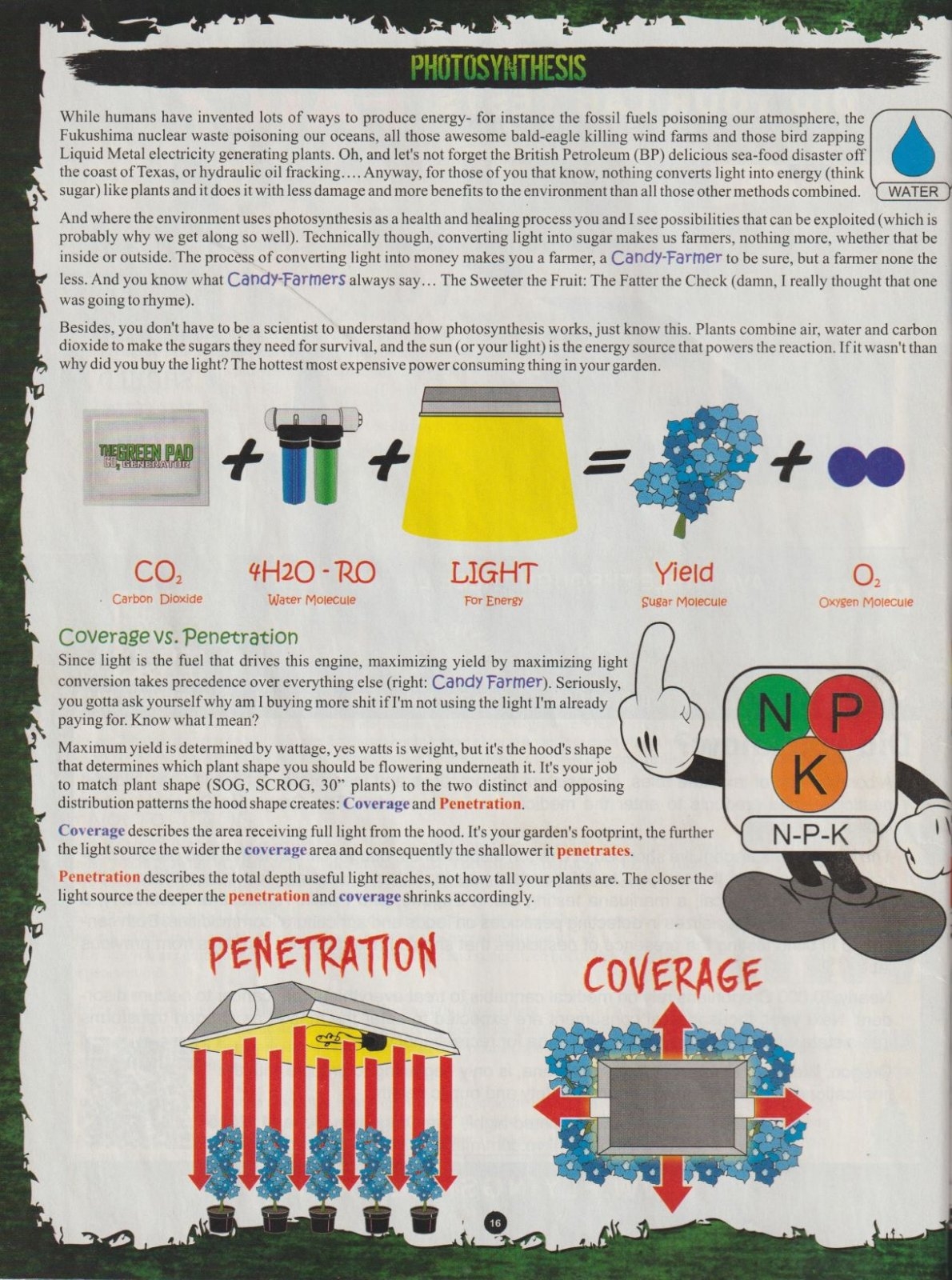 69) Photosynthesis.jpg