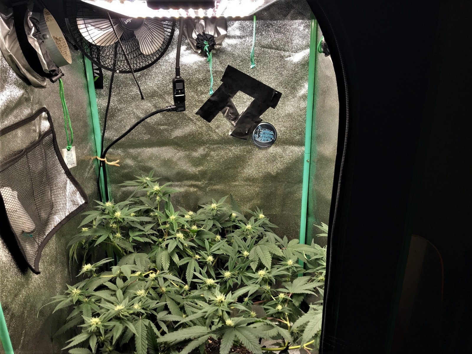 ARC clone 1-14-22 Flip 23 tent top.JPG