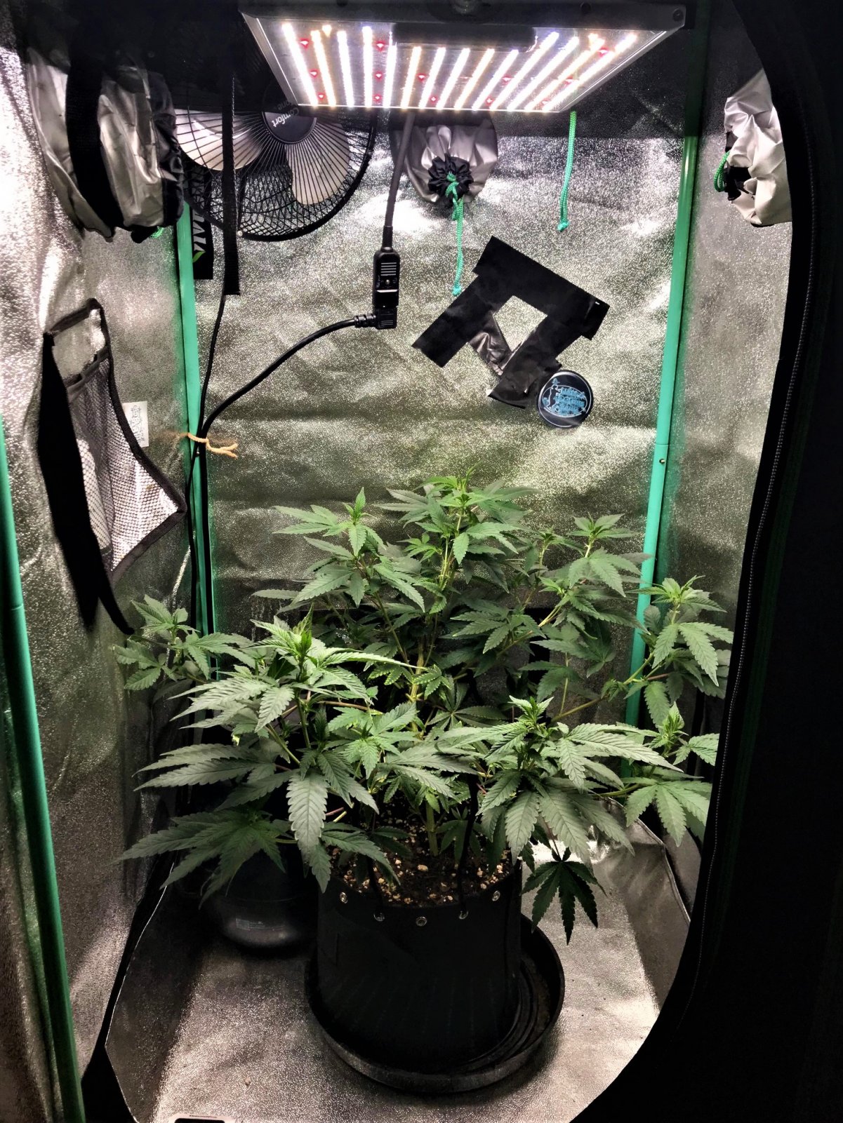 ARC clone 12-31-21 Flip 9 vert view.jpg