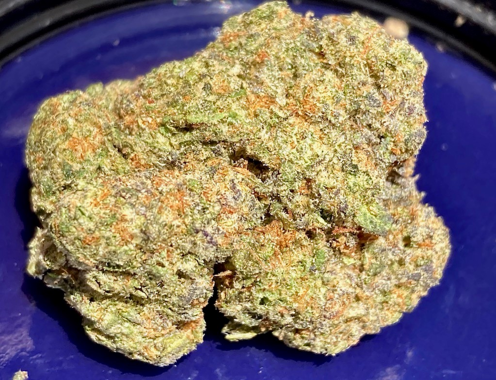 Blue Sherbet 1.jpg