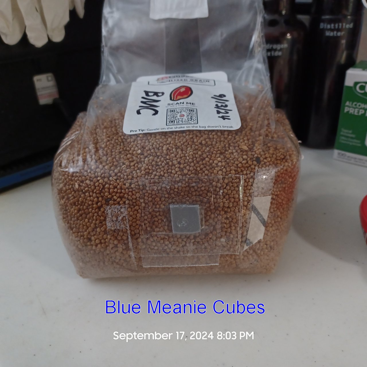 BlueMeanieCubes20240917_200334r.jpg