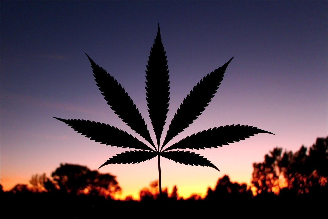 Cannabis Leaf Silhouette w_Orange Sunset Background.JPG