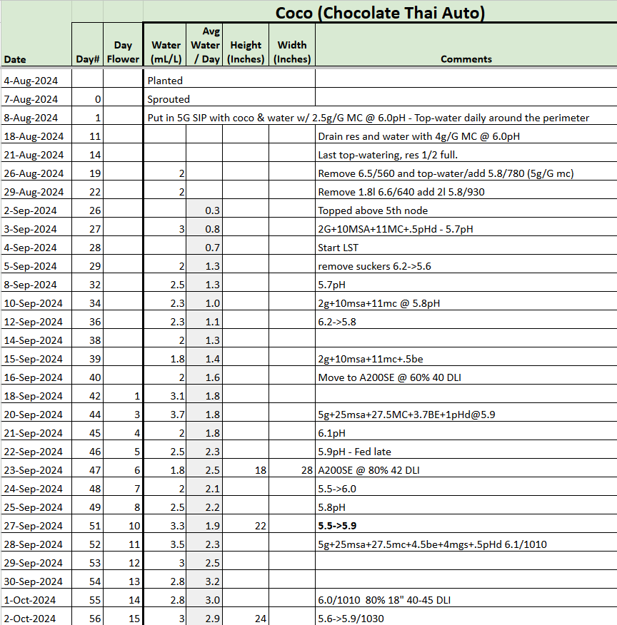 Chocolate Thai Auto tracker.png