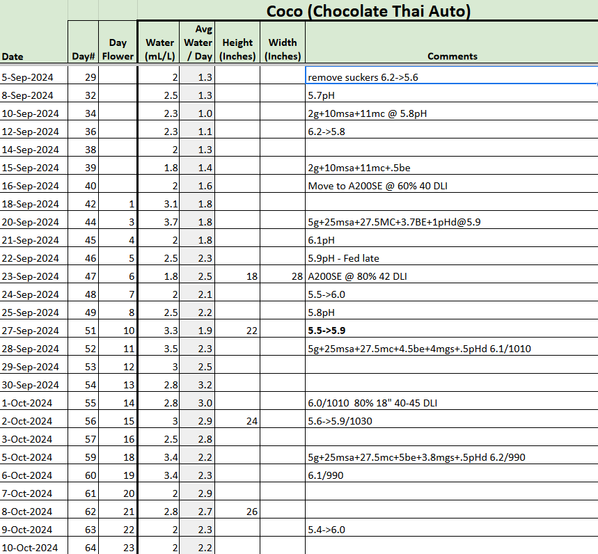 Chocolate Thai Auto tracker.png