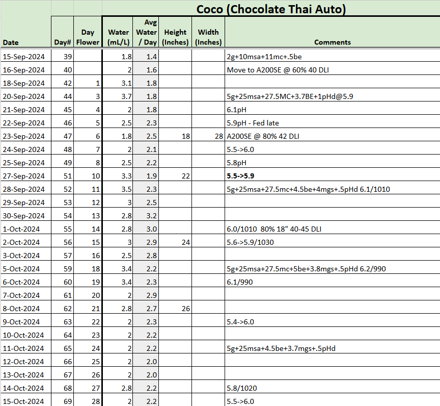 Chocolate Thai Auto tracker.png