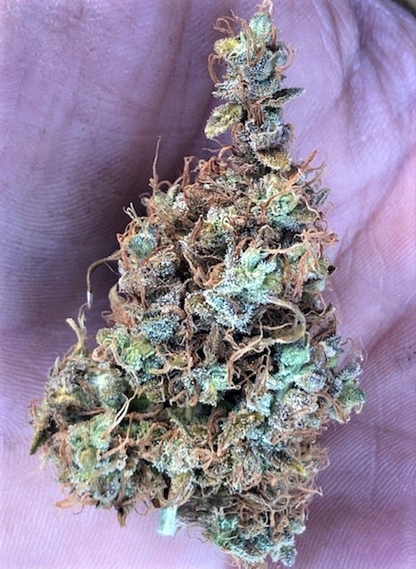 Chunky Finished Cola Buds 3.jpg