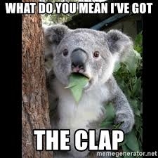 Clap on clap off the CLAPPER.jpg