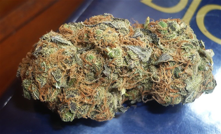 Critical-Mass-Cannabis-Nug.jpg