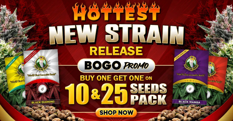 Crop King Seed Hottest New Strains.png