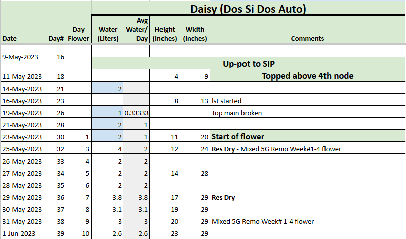 Daisy Tracker 20230601.png