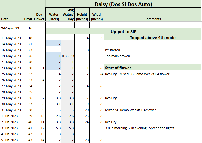 Daisy Tracker 20230605.png