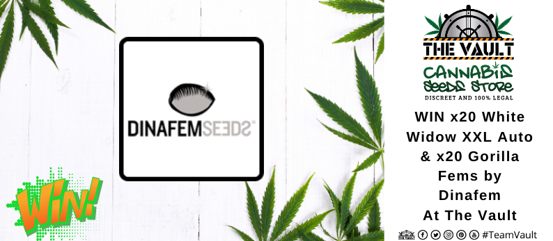 Dinafem-Cannabis-Seeds-1.png