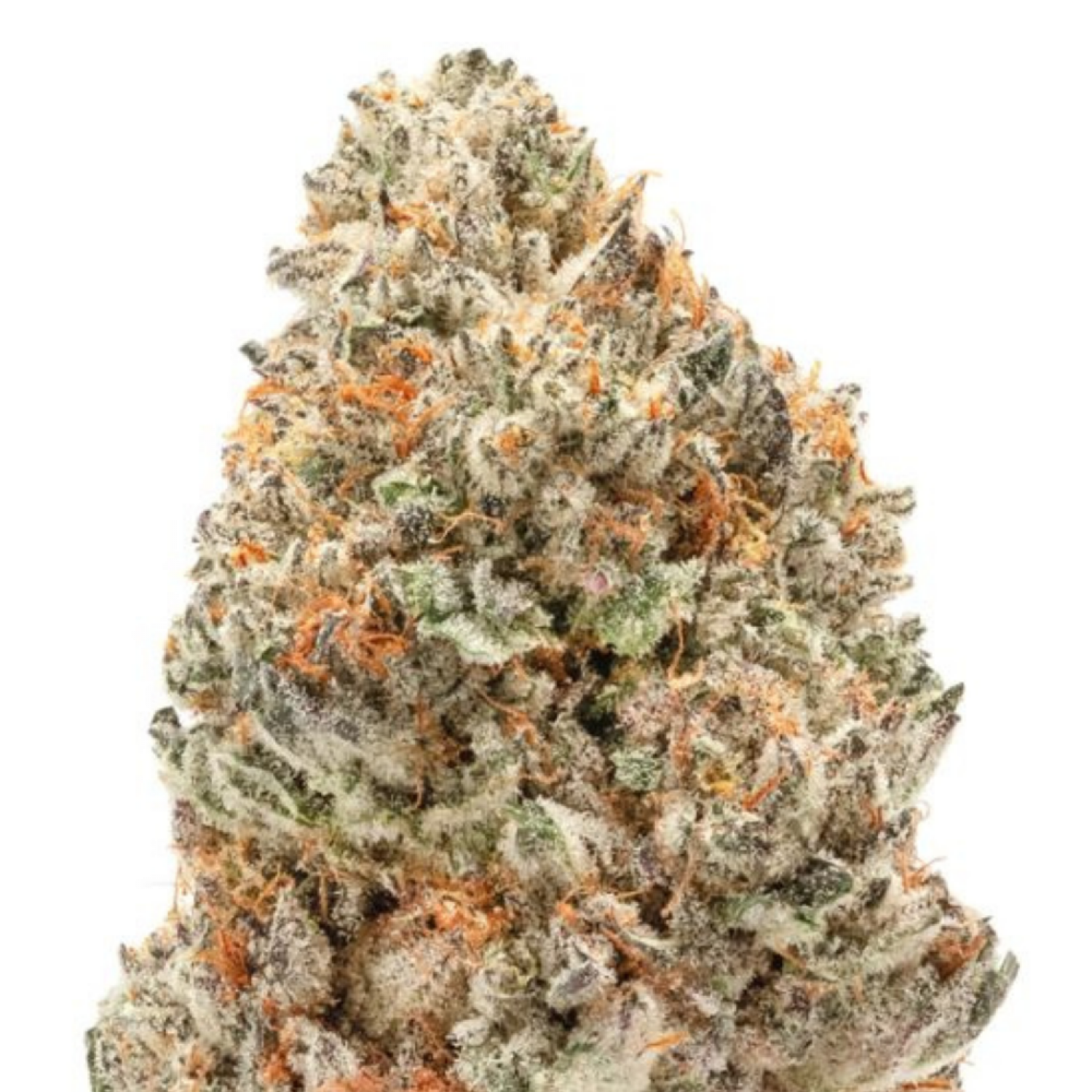 double-xl-watermelon-weddingcake-autoflower.png