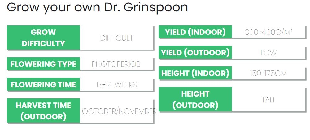 Dr. Grinspoon.JPG