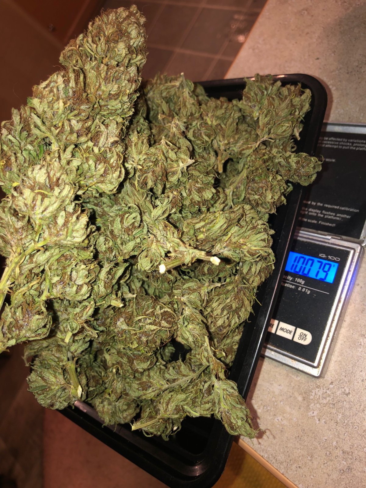 Durban Poison top buds dry weight not bad for onlt tops.jpg