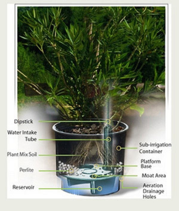 eco grow pots 2.jpg