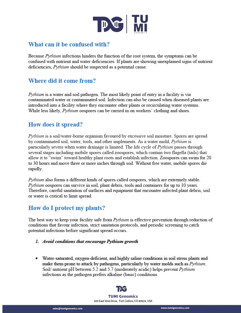 Fact+Sheet+Pythium_TUMI_Genomics1024_2.jpg