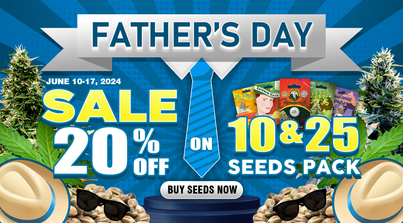 Fathers Day Rocket Seeds.jpg