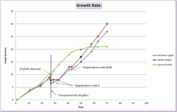 Growth chart 03.jpg