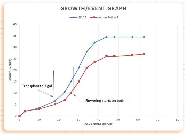 Growth chart 07.jpg