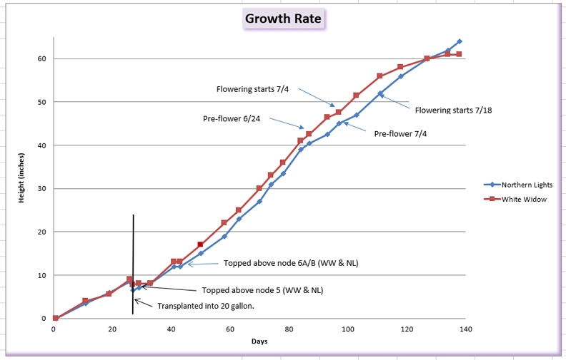 Growth chart 11.jpg