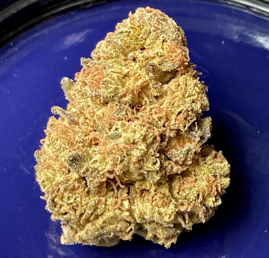 Hulkberry Bud jarred 12 11.jpg