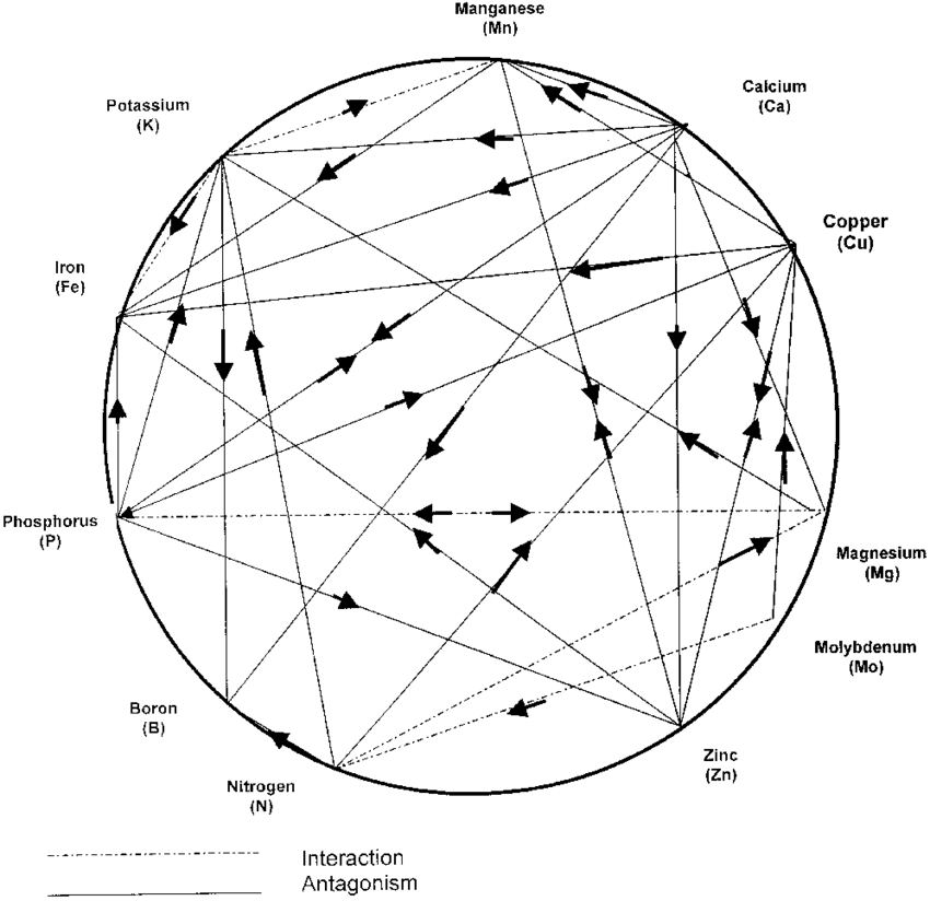 interactions-between-plant-nutrients-Interaction-A.png