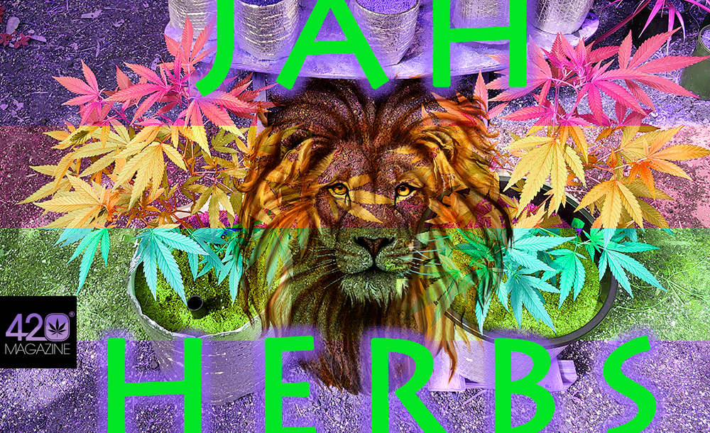 JAH_HERBS.jpg