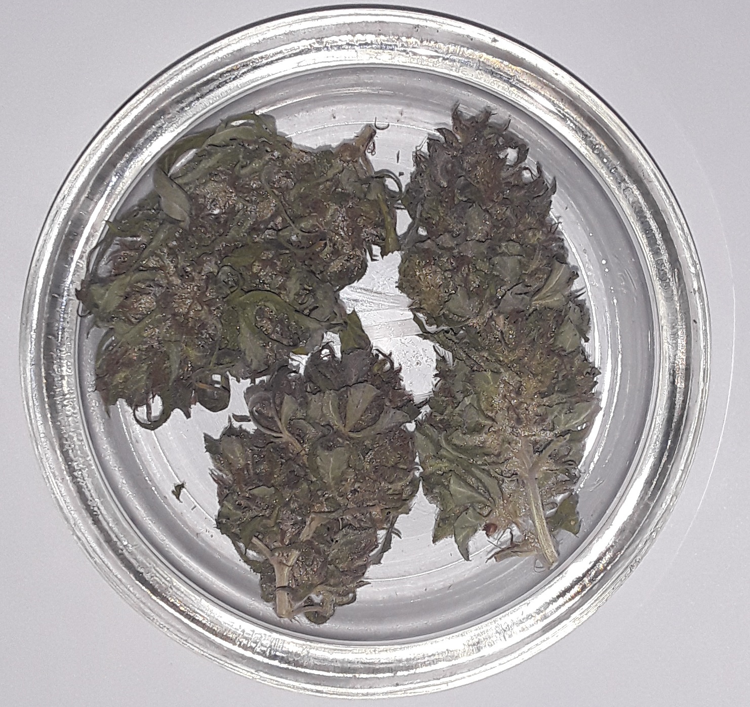 kush-04 Dry CuredBuds-01.jpg