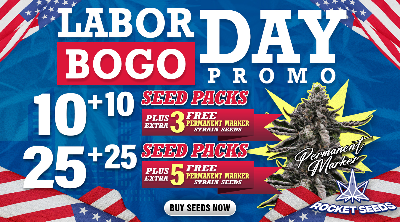 Labor day Rocket Seeds.jpg