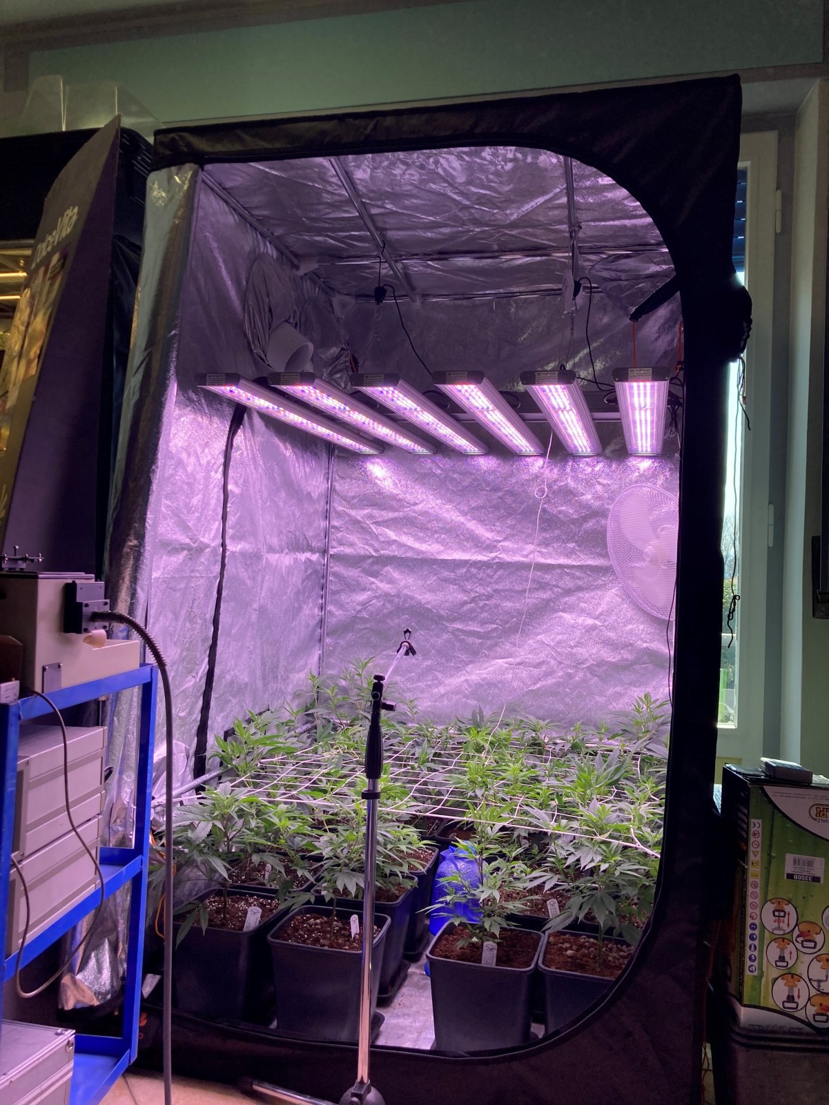 led grow light test2.jpg