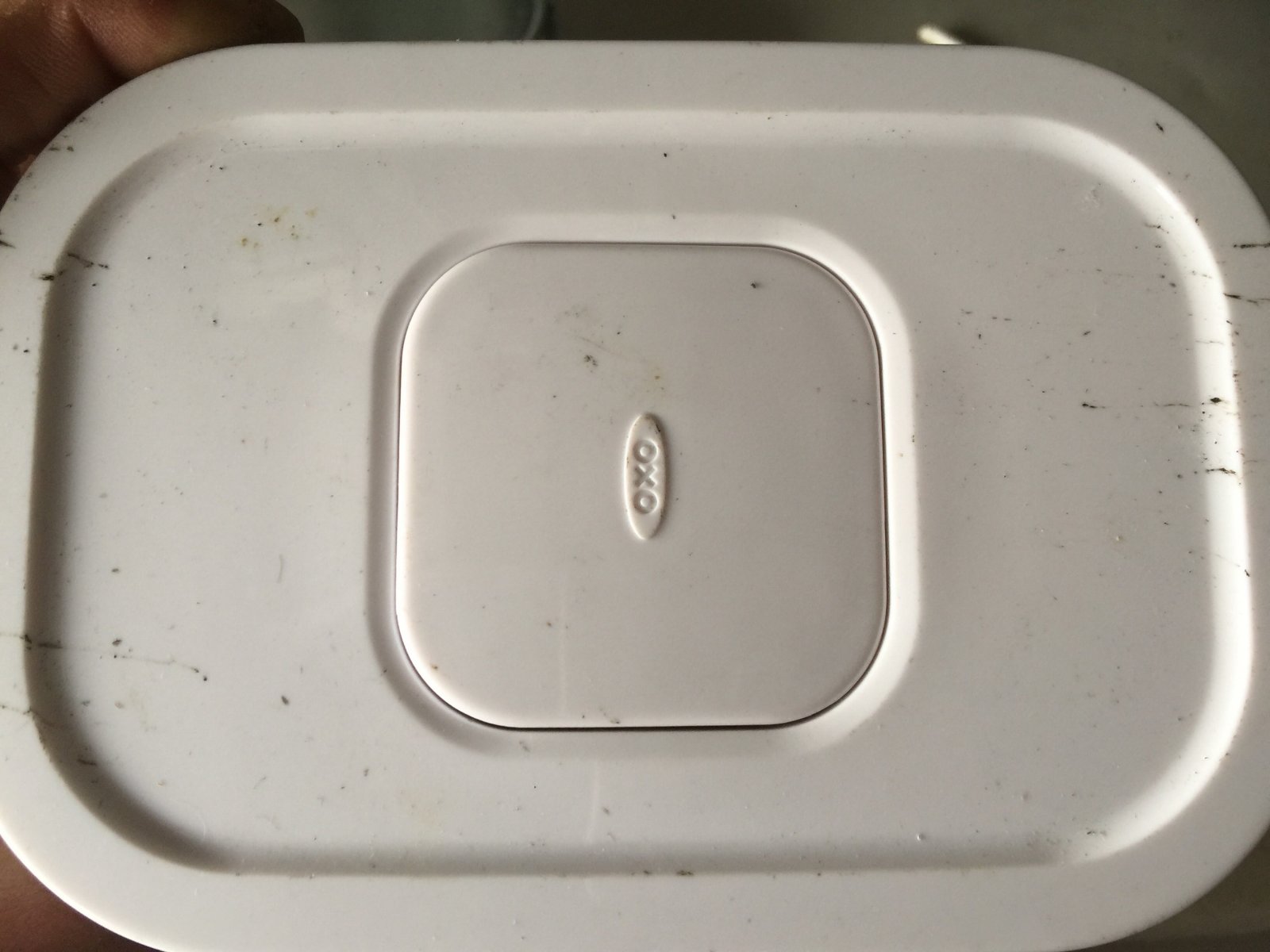 Lid of container.jpg