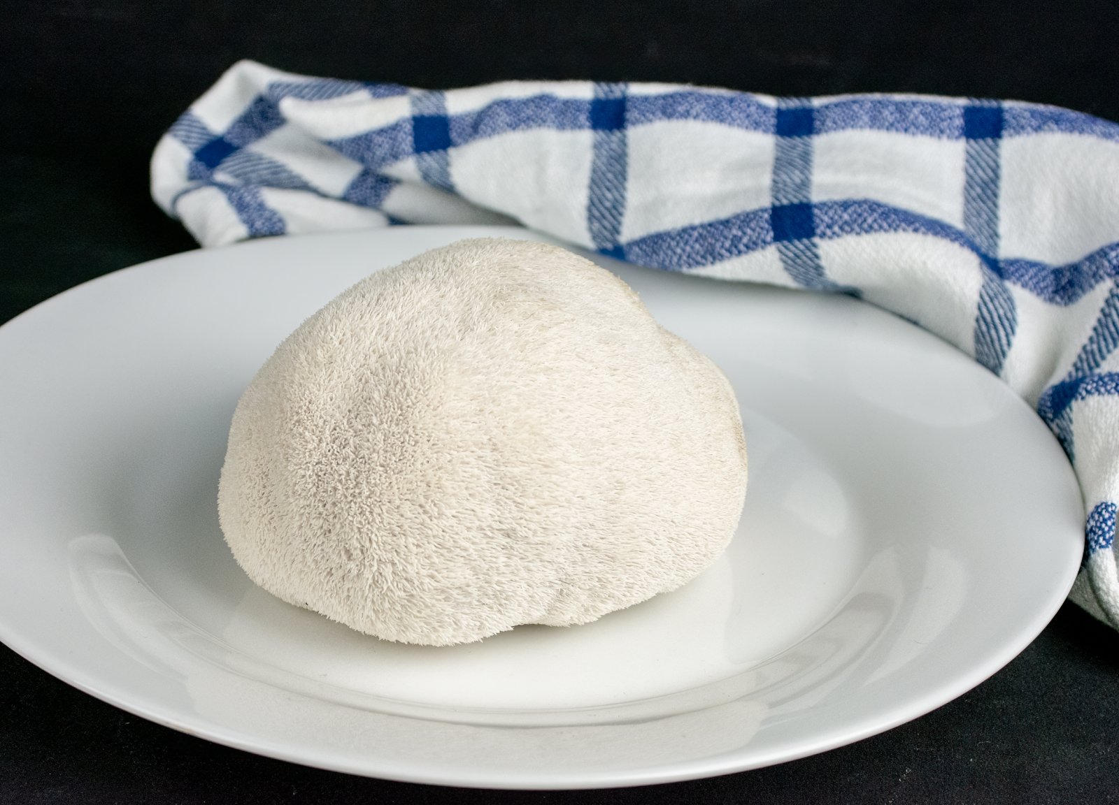 Lion's Mane harvest.jpg