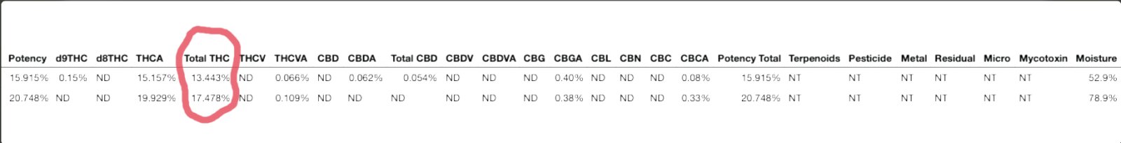 LKV Test Results b.jpg