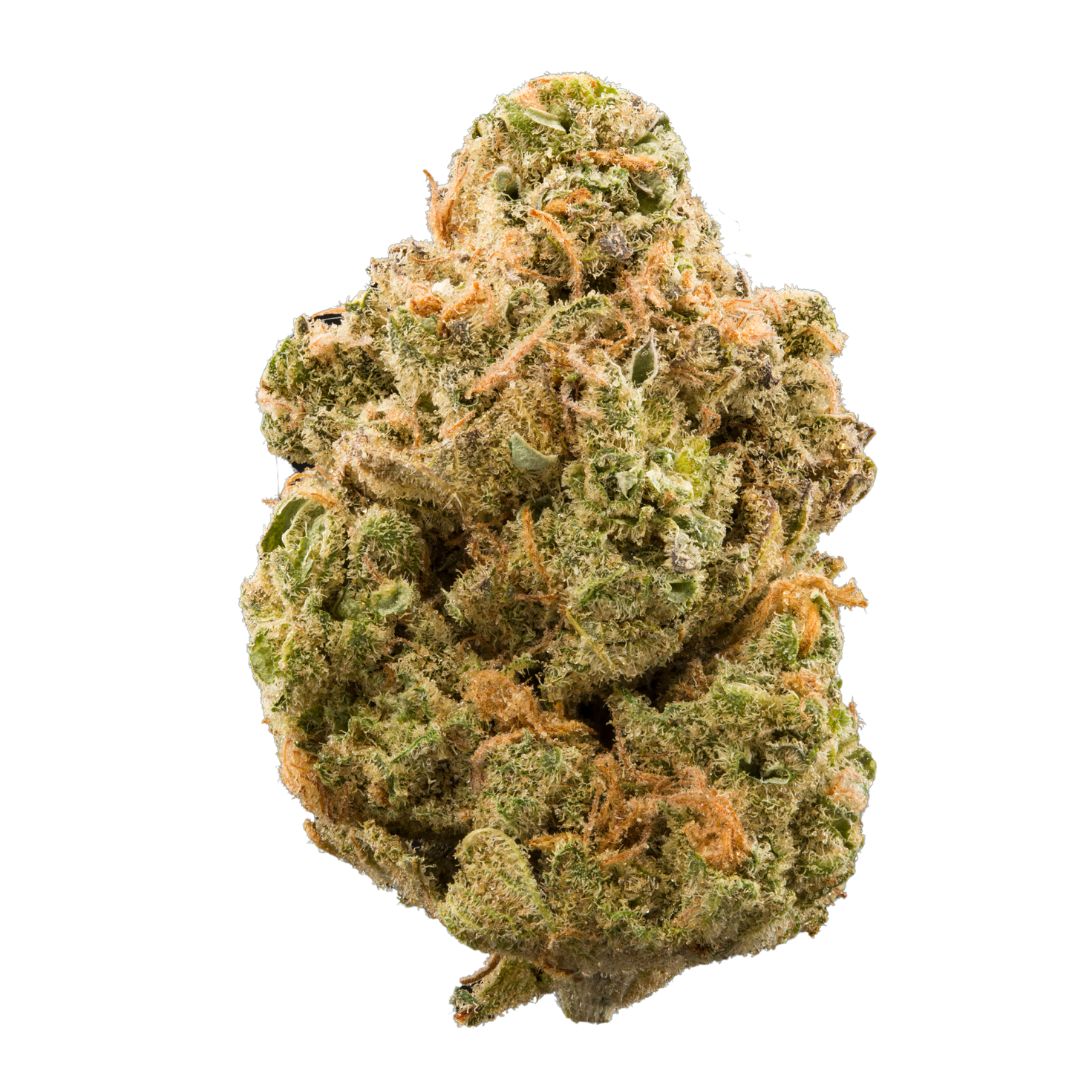 marijuana-bud-general.jpg