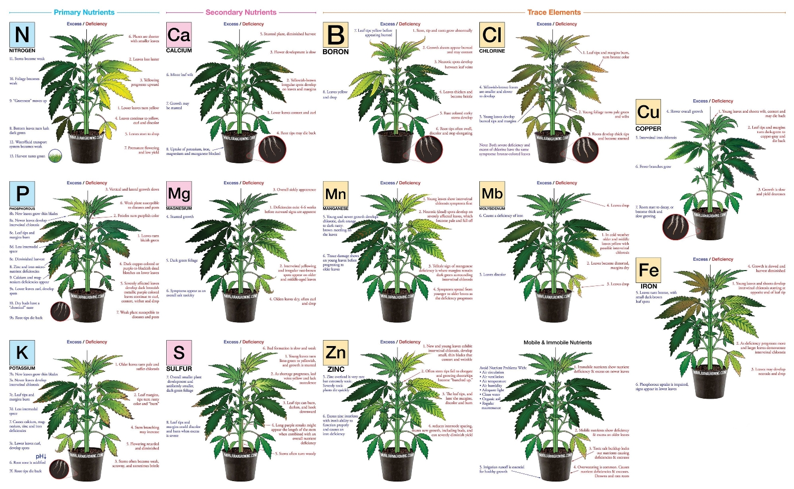 marijuana-deficiency-chart-jorge-cervantes.jpg