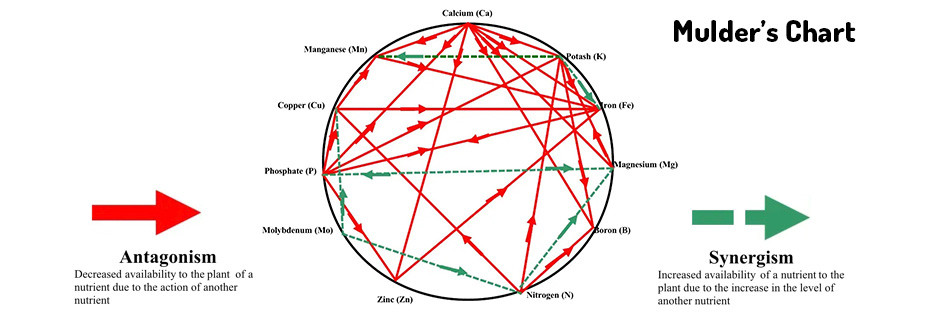 mulders-chart_1681405442-3437686721.jpg